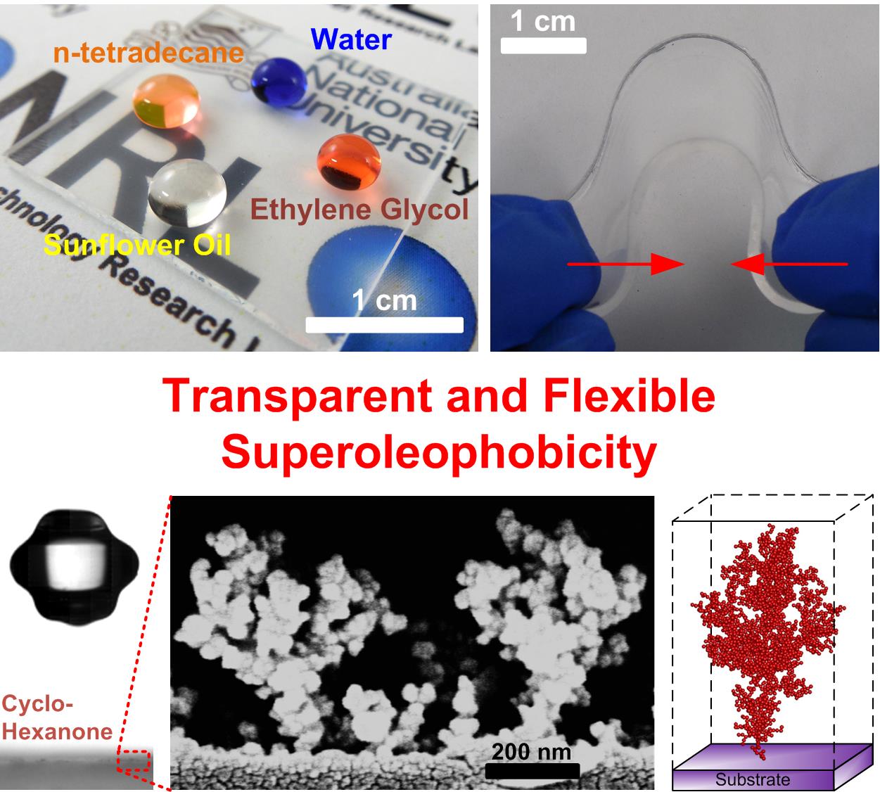 Omnidirectional Self-Assembly of Transparent Superoleophobic Nanotextures