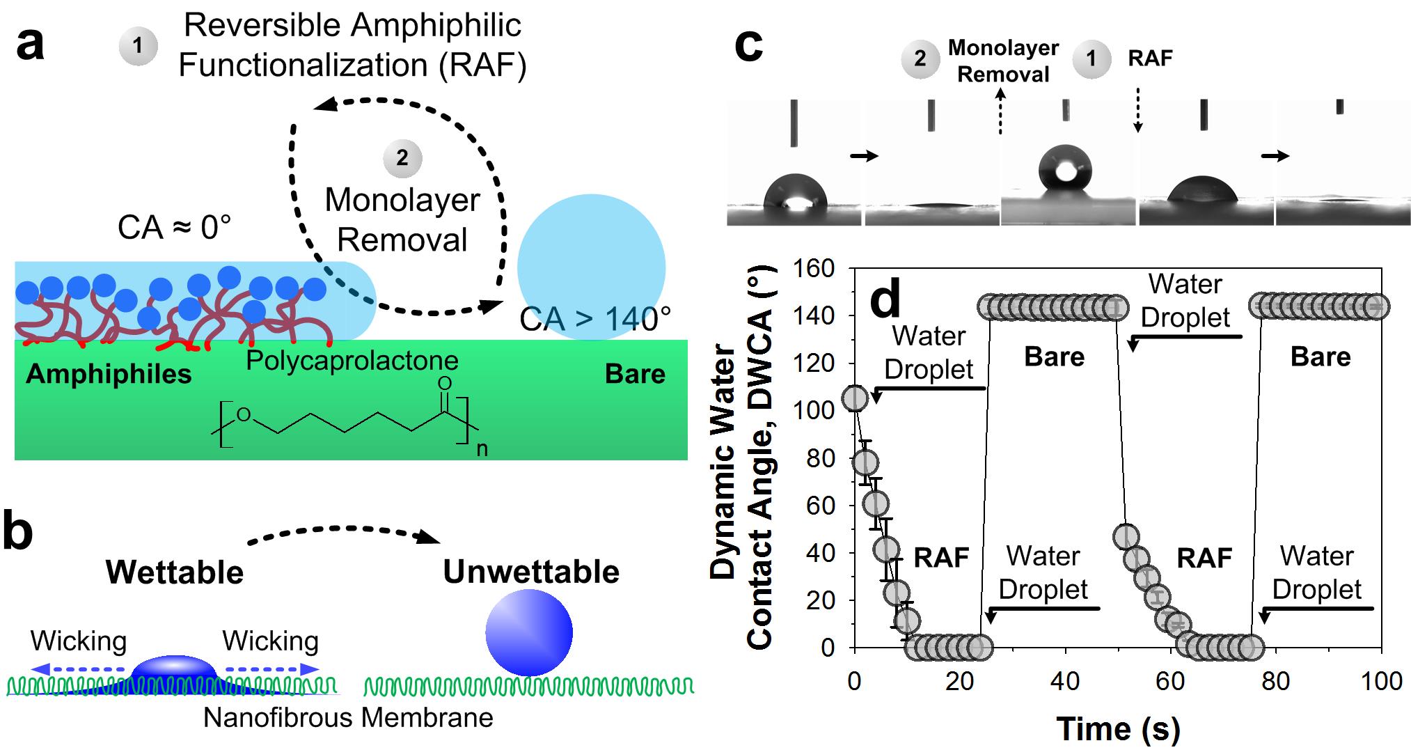 Dynamically Gas-Phase Switchable Super(de)Wetting States by Reversible Amphiphilic Functionalization: A Powerful Approach for Smart Fluid Gating Membranes