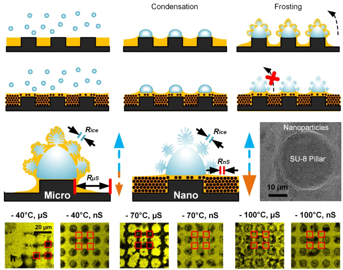 Capillary Balancing: Designing Frost-Resistant Lubricant-Infused Surfaces
