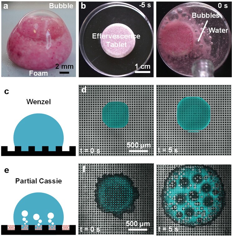 Effervescence-Inspired Self-Healing Plastrons for Long-Term Immersion Stability