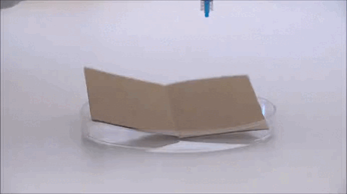 Droplet Impact on Paperboard
