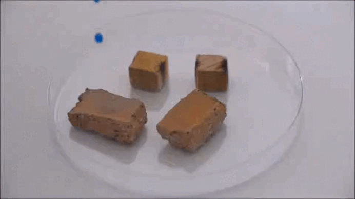 Droplet Impact on Wood and Brick