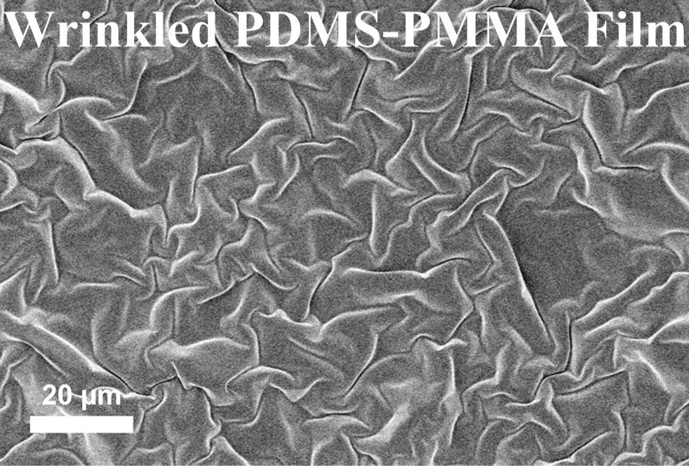Wrinkled PDMS-PMMA