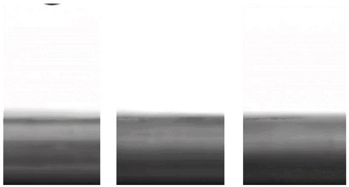 Bouncing Oil Droplets on a Superamphiphobic Surface