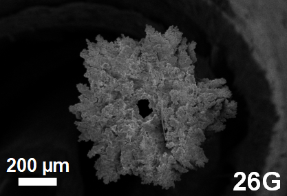 Nanostructured Needle Capillaries
