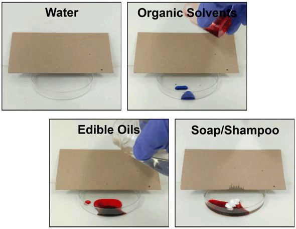 A Super (Omni) Liquid Repellent Surface