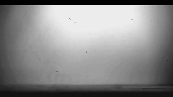 Bouncing Foam Jets