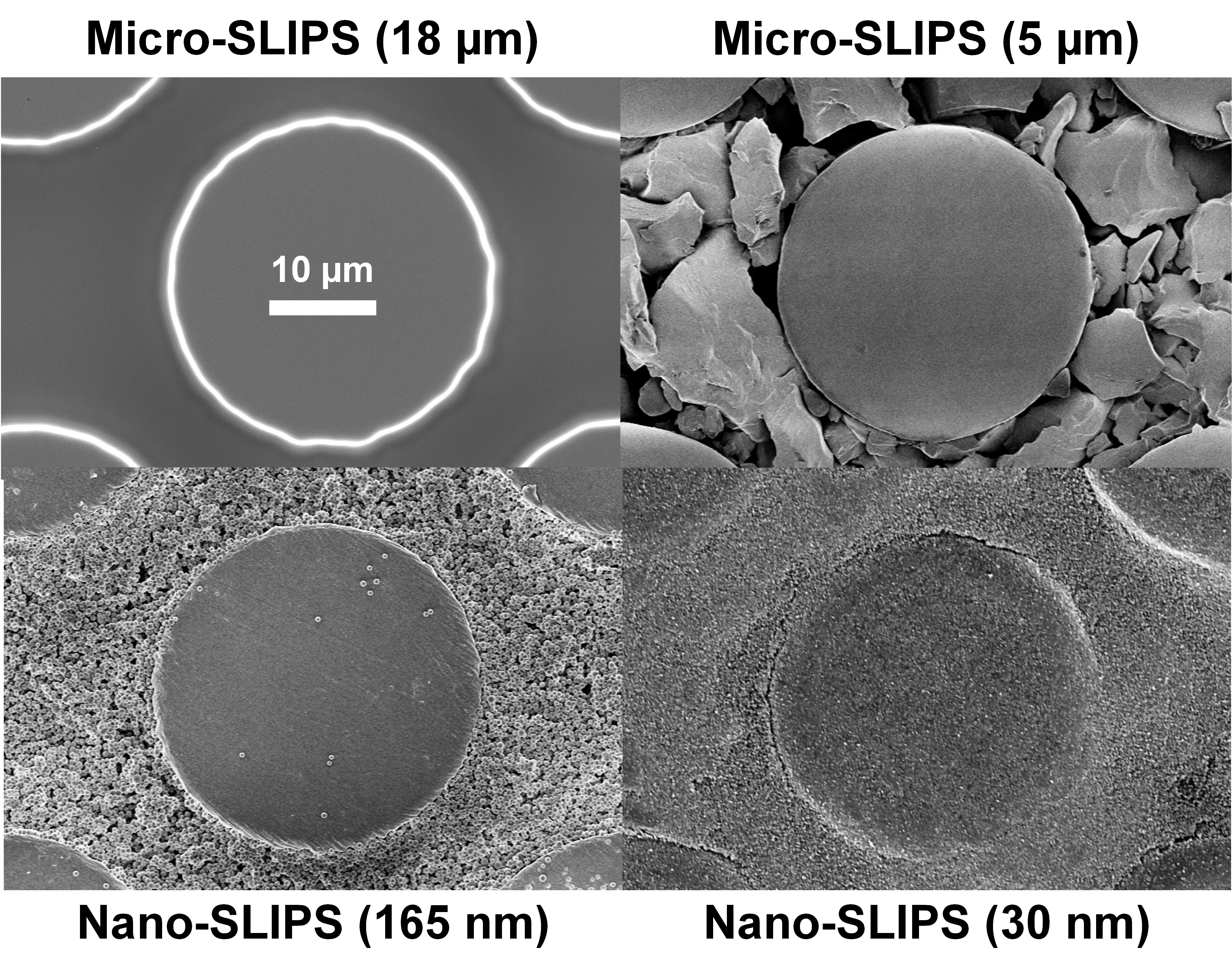 Particle in Surface Patterning