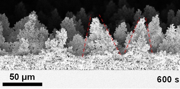 Nanostructured Spikey Agglomerates