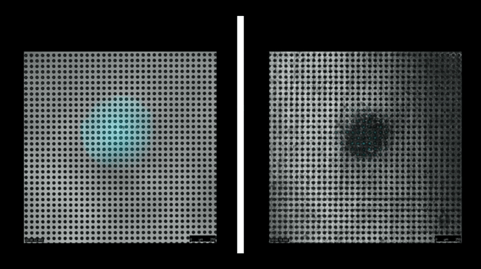 Reactive Efferverscent Surface