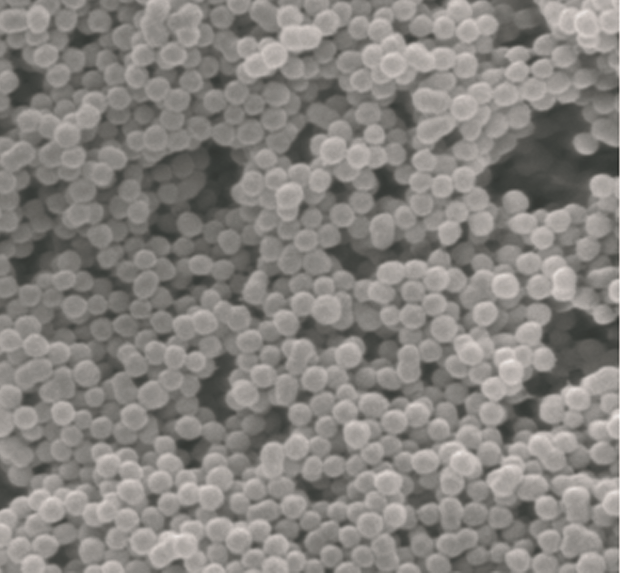 Immobilization of O-Acetylserine Sulfhydrylase as Highly Active and Recyclable Nanobiocatalyst: Efficient Synthesis of beta-Pyrazol-1-yl-L-alanine