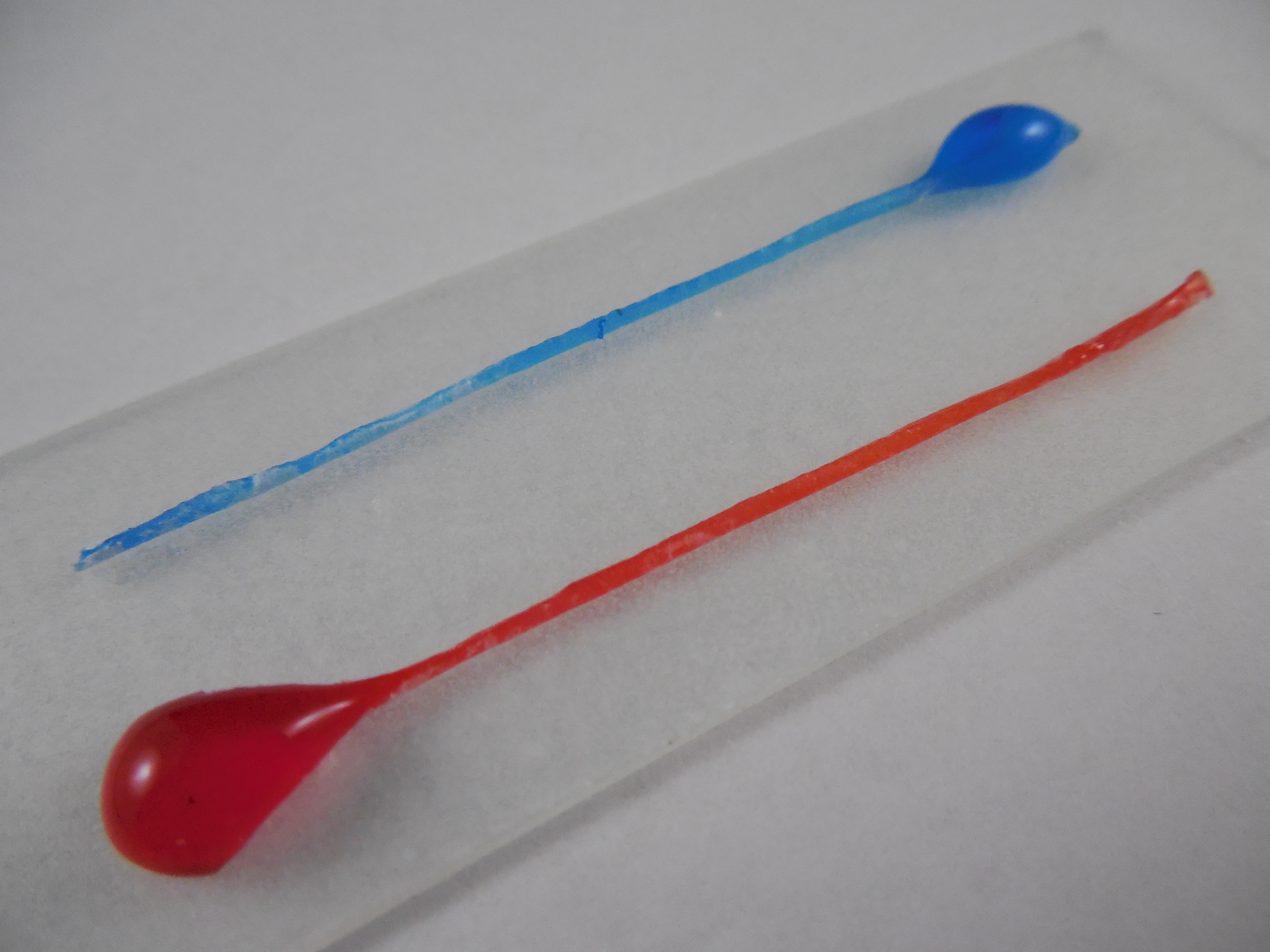 Mimosa Origami: a Nanostructure-enabled Directional Self-Organization Regime of Materials