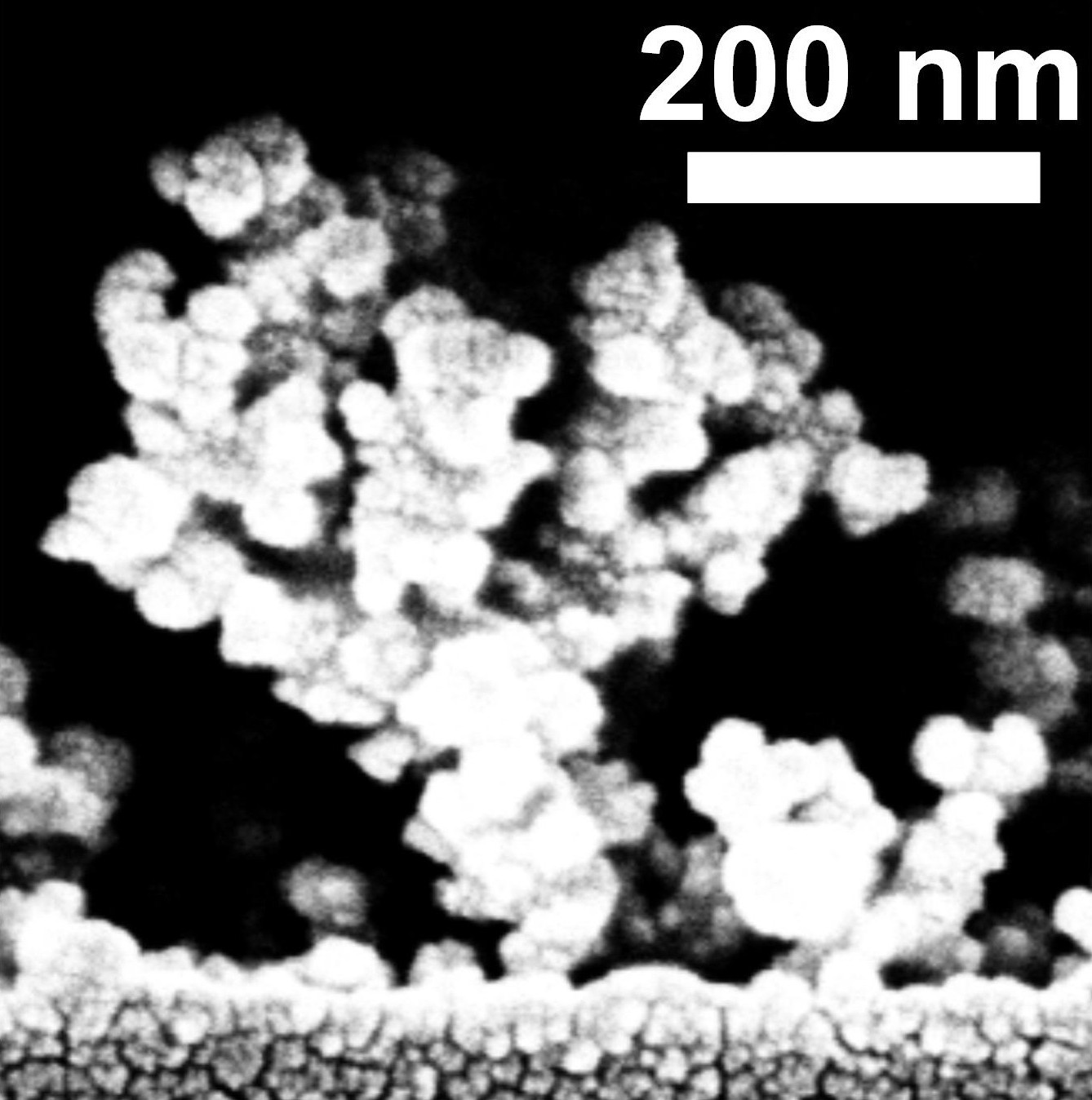 Omnidirectional Self-Assembly of Transparent Superoleophobic Nanotextures