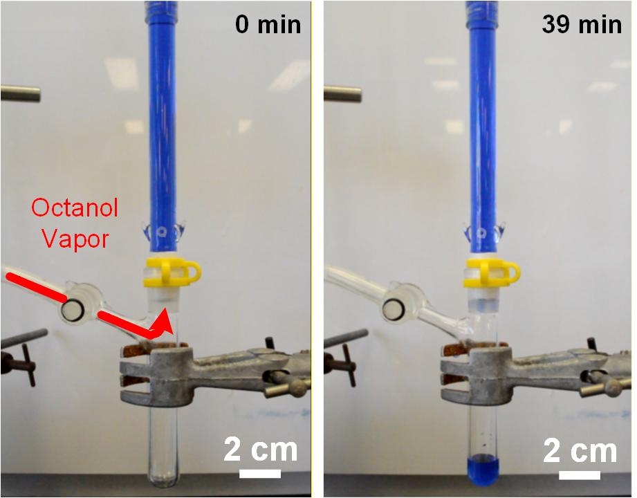 Dynamically Gas-Phase Switchable Super(de)Wetting States by Reversible Amphiphilic Functionalization: A Powerful Approach for Smart Fluid Gating Membranes