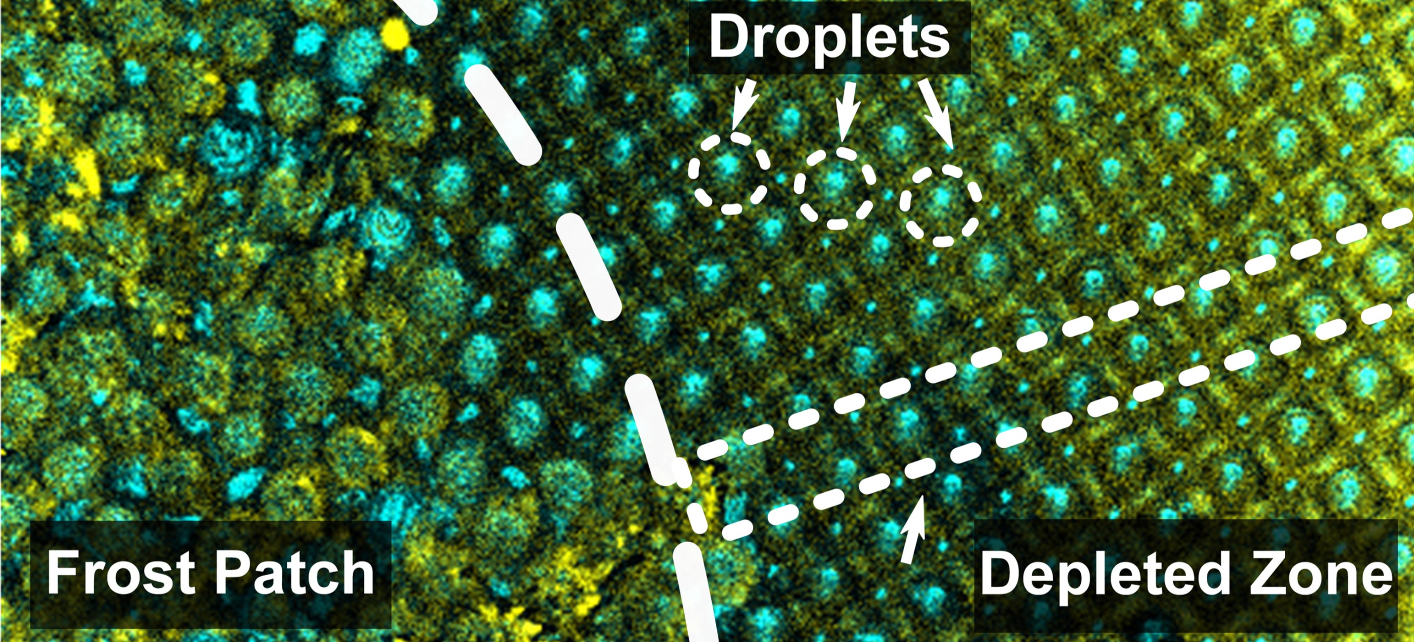 How Frost Forms and Grows on Lubricated Micro- and Nanostructured Surfaces