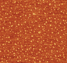 Smoothening Perfluoroalkylated Surfaces: Liquid-Like Despite Molecular Rigidity?