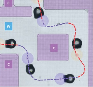 Ultrasonic Healing of Plastrons