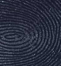 Heterogeneously-Wetting Glass with Enhanced Anti-Fingerprint Properties